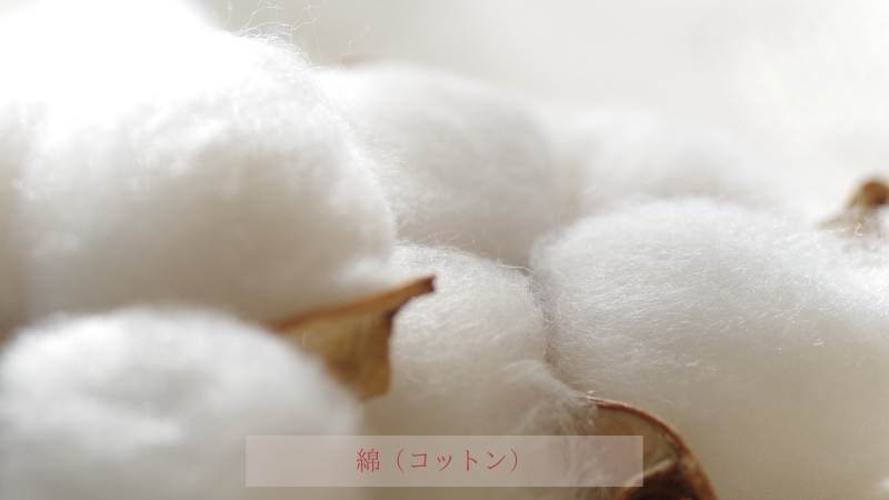 着物・振袖 裾よけ